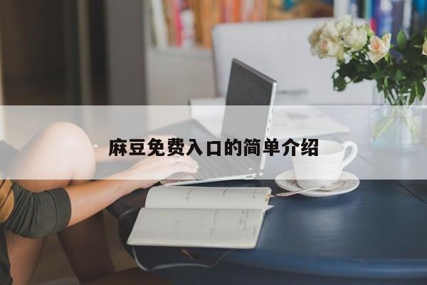 麻豆免费入口的简单介绍