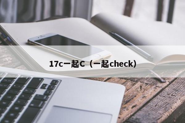 17c一起C(一起check)